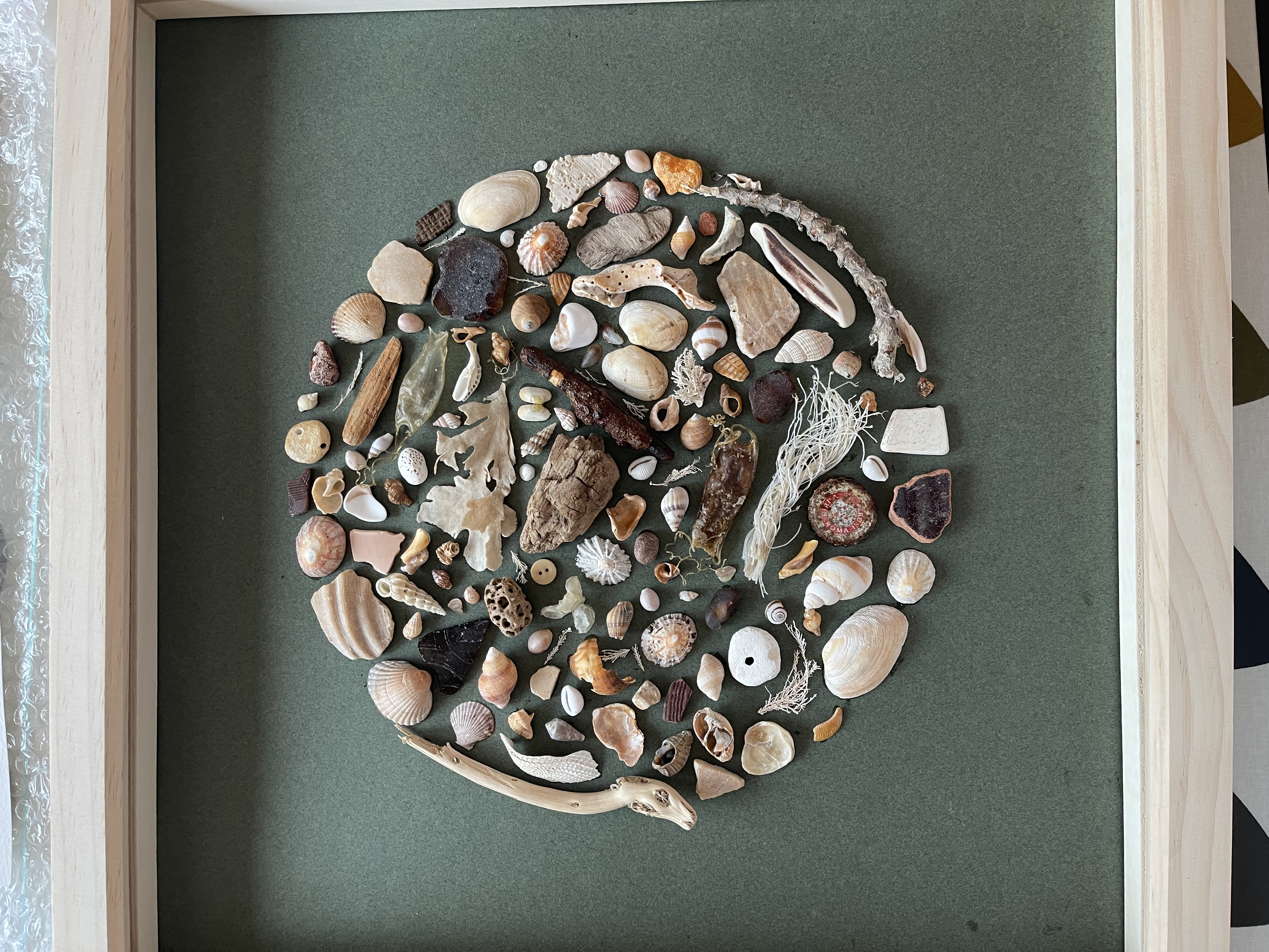 Beachcombing picture