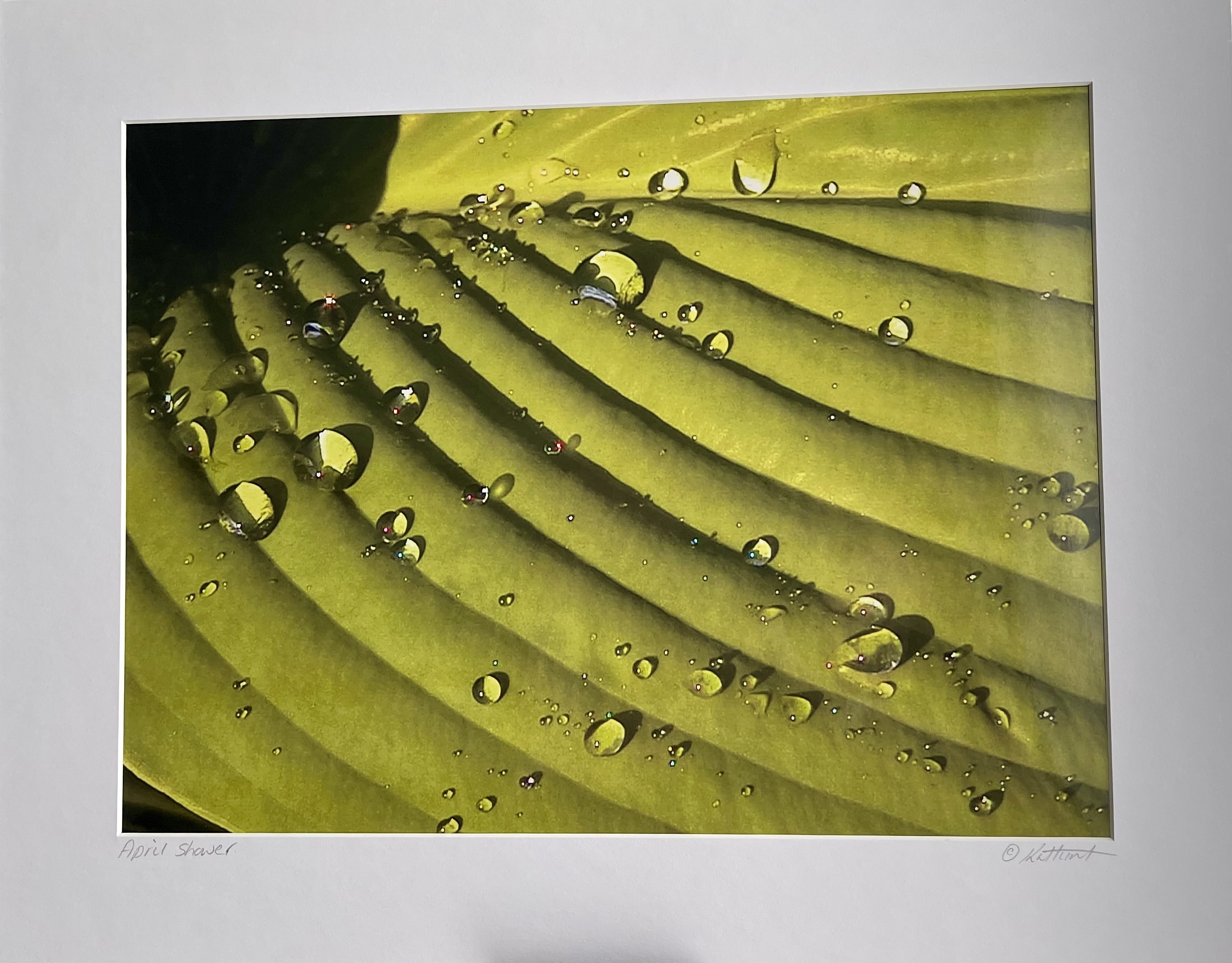 “April Shower”