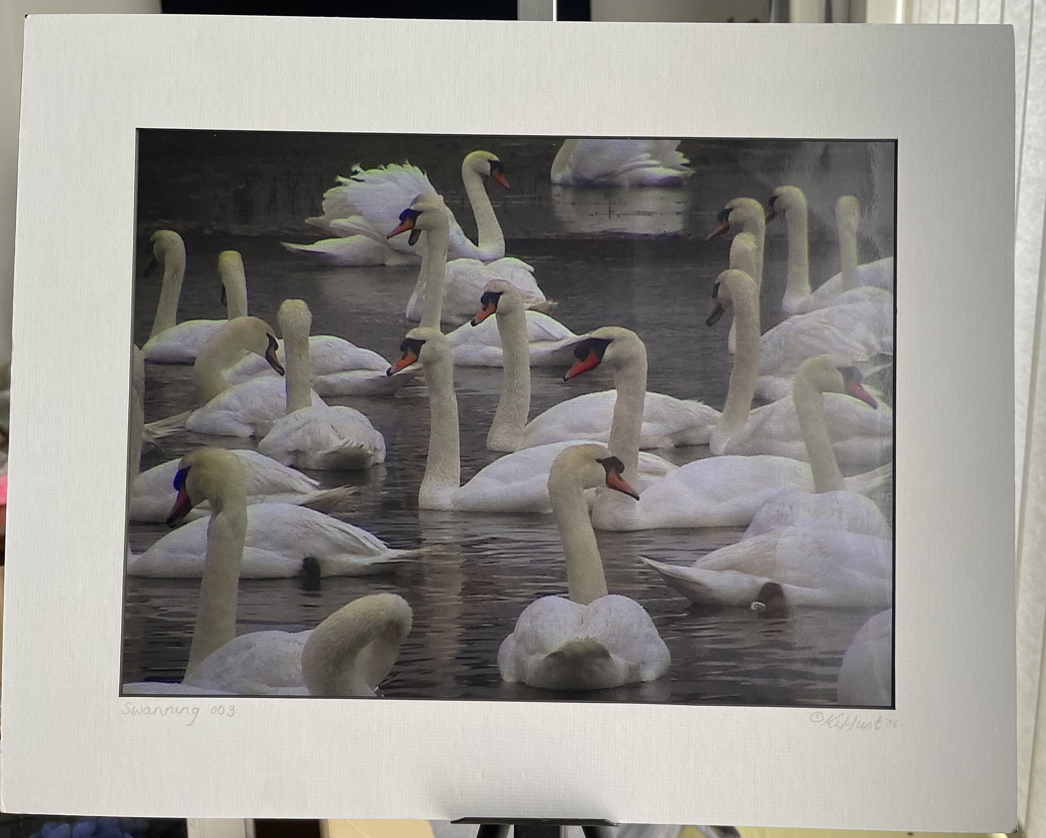 “Swanning”