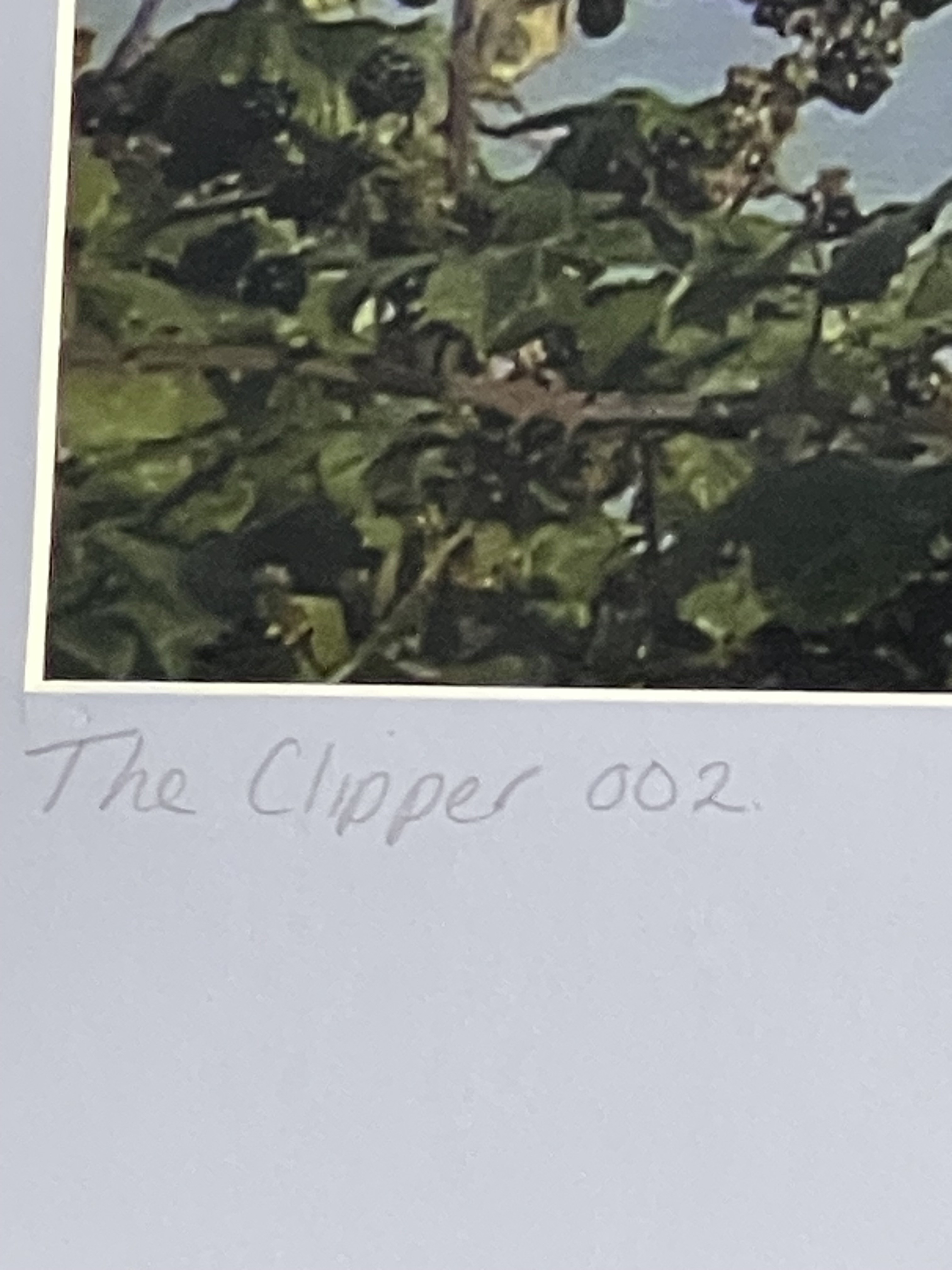 The Clipper . Phoenix. image 2