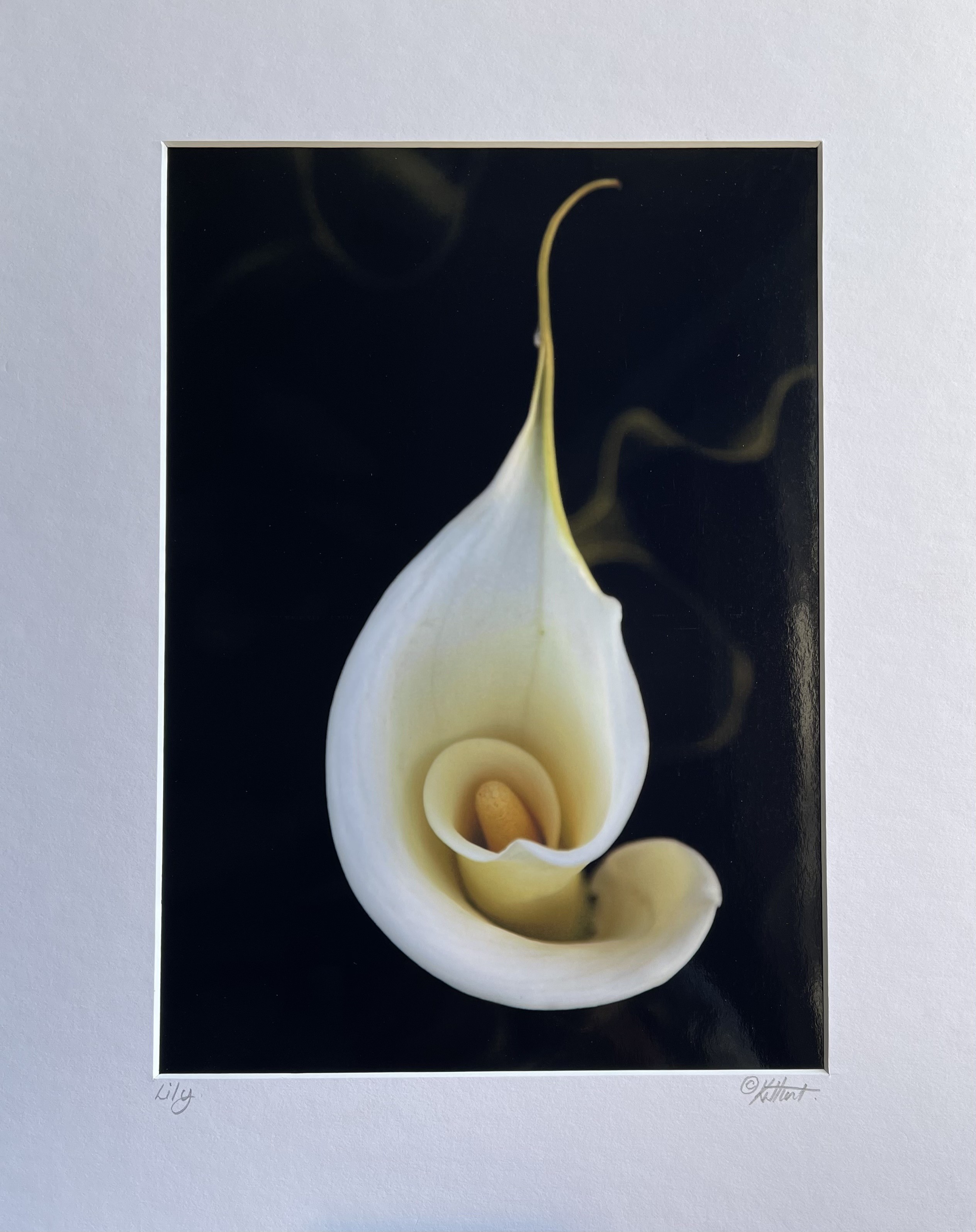 Abstract Lily white.