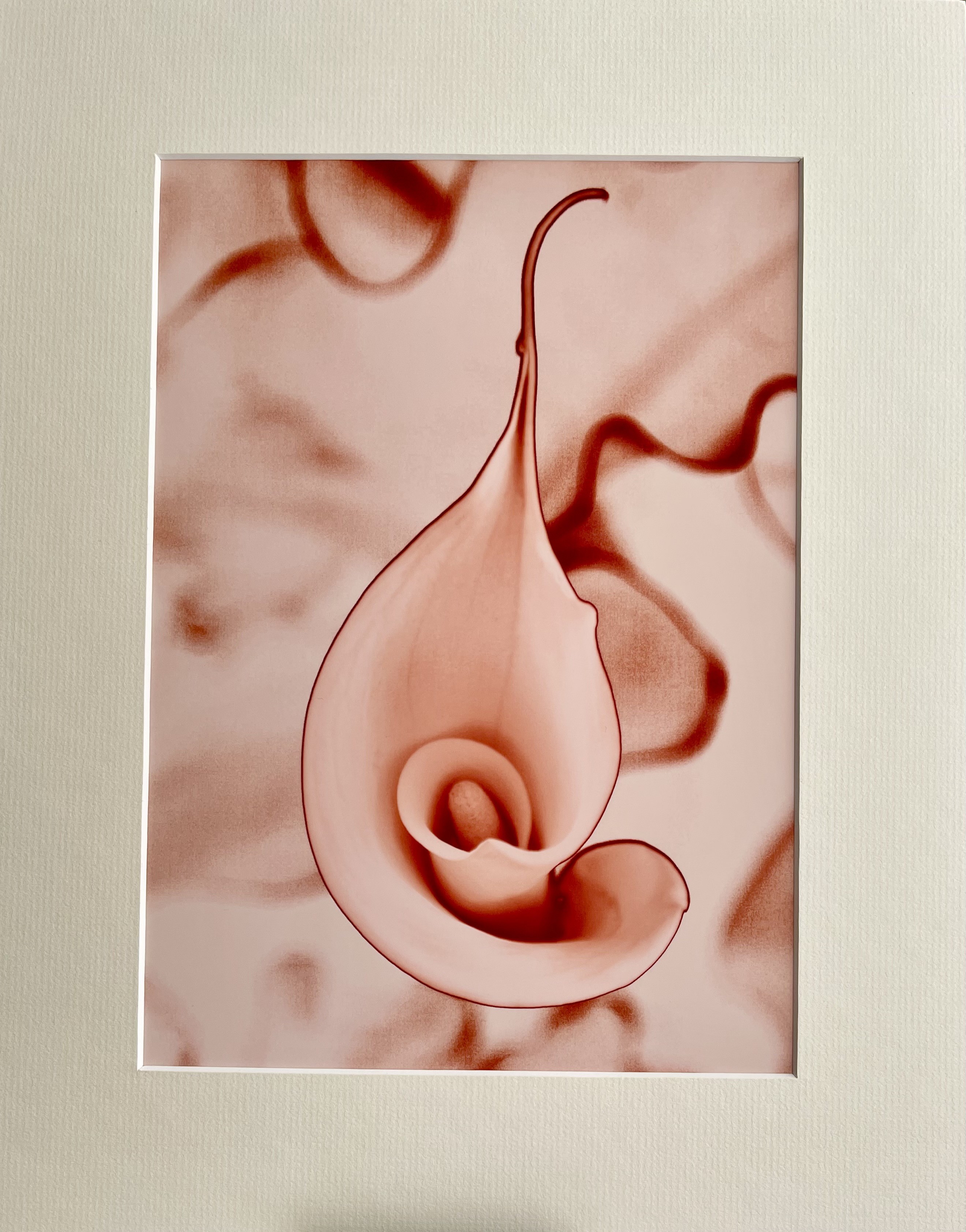 Cream abstract Lily.